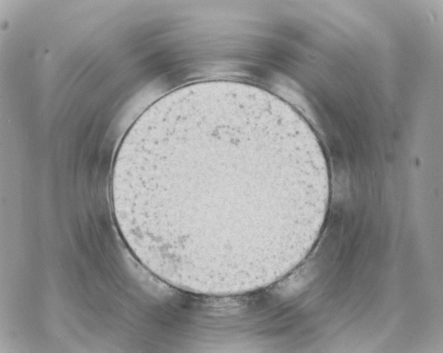 X0000070371338200607072119