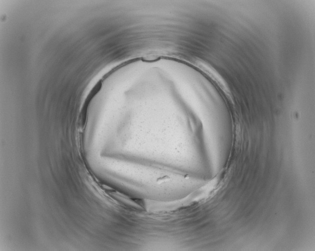 X0000070371340200607072119