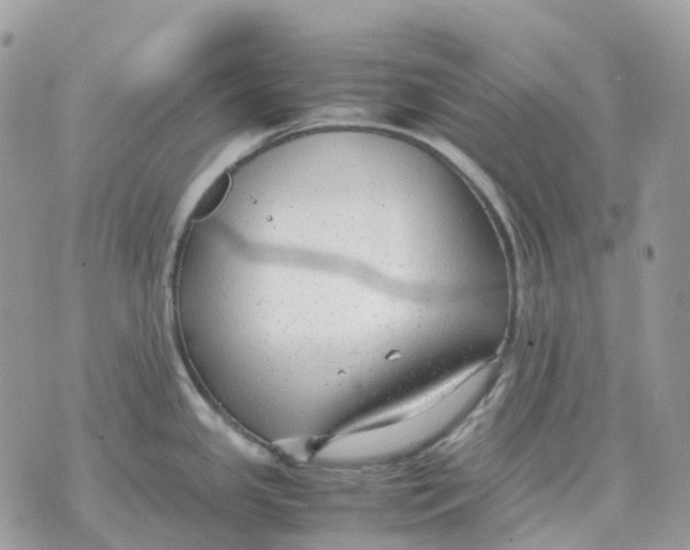 X0000070371341200607072119