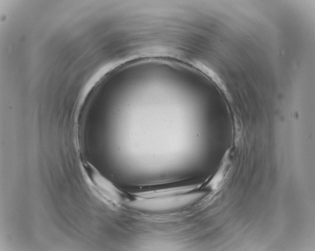 X0000070371342200607072119