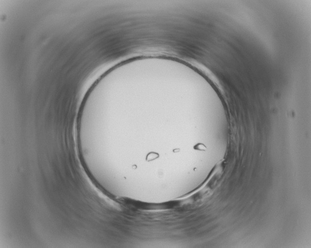 X0000070371343200607072119