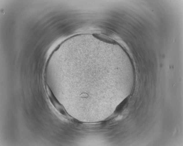 X0000070371344200607072119