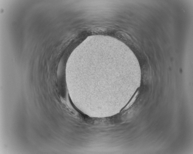 X0000070371345200607072118