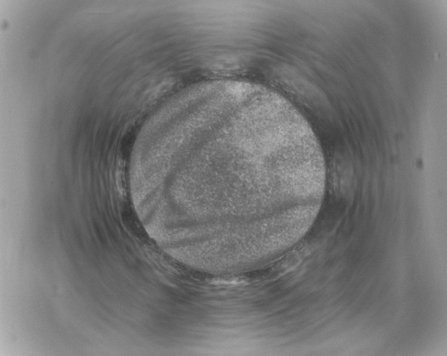 X0000070371346200607072118