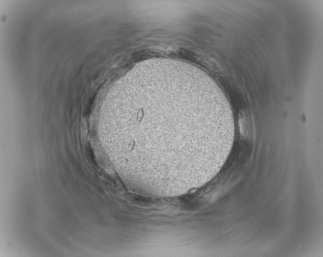 X0000070371347200607072118