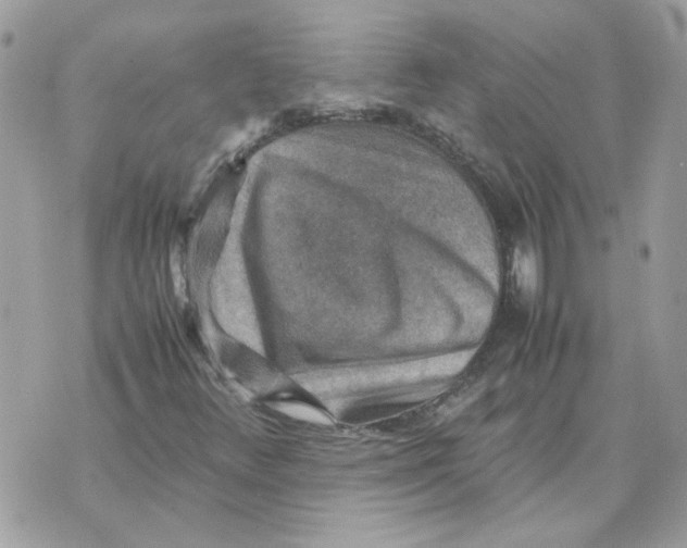 X0000070371348200607072118