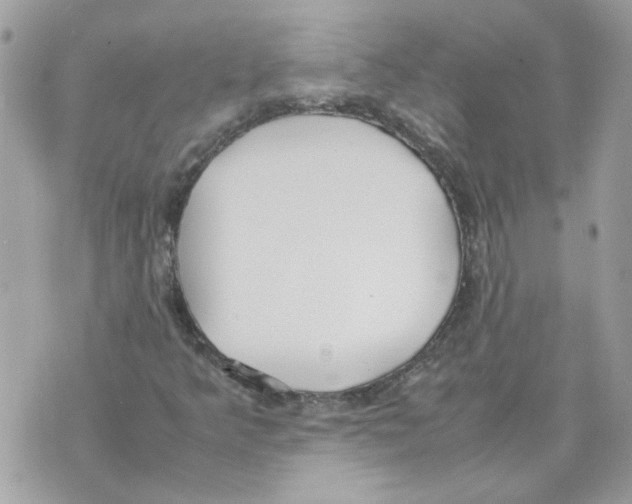 X0000070371349200607072118