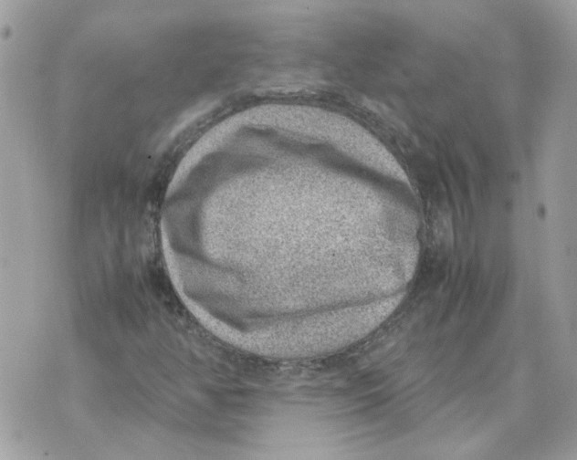 X0000070371350200607072118