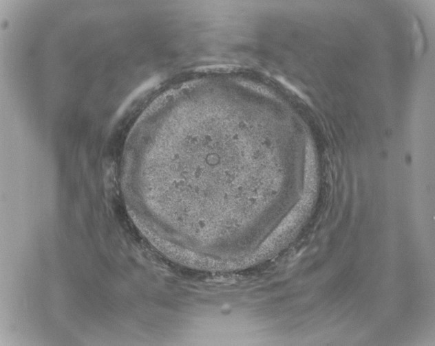 X0000070371351200607072118