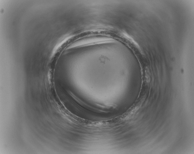 X0000070371352200607072118