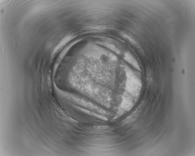 X0000070371354200607072118