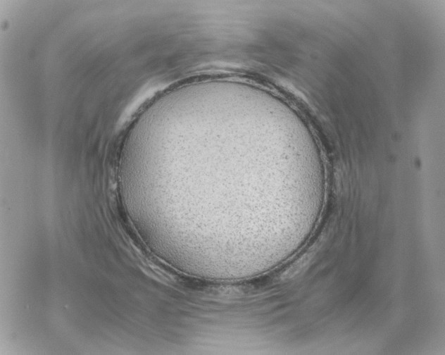 X0000070371355200607072118