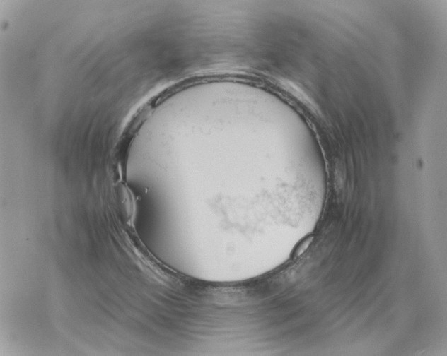 X0000070371356200607072118