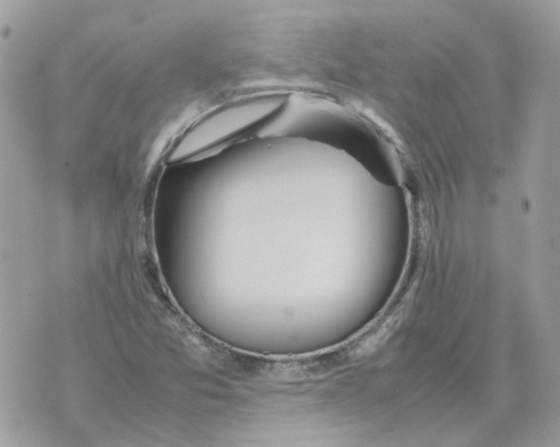 X0000070371357200607072118