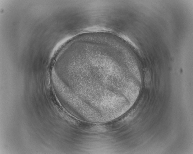 X0000070371358200607072118