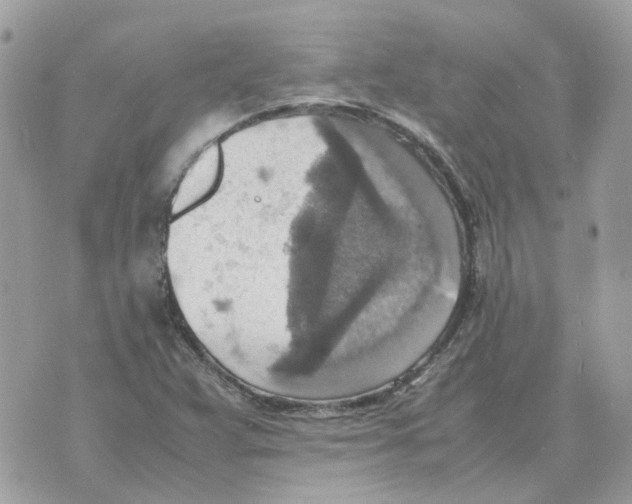 X0000070371359200607072118