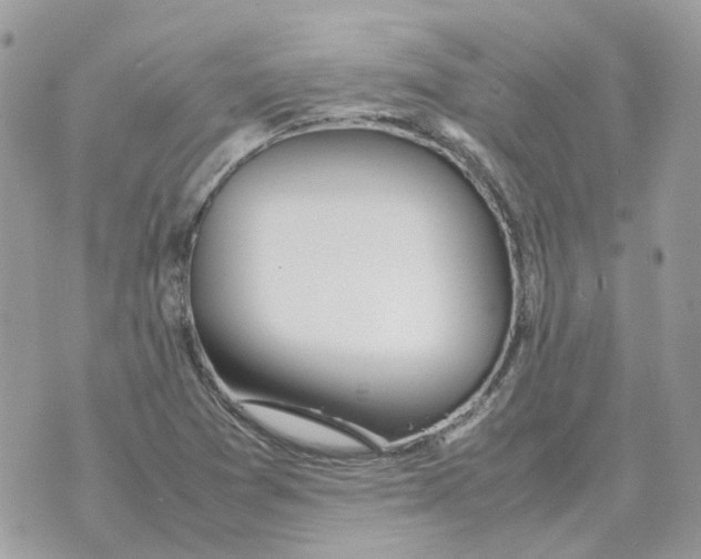 X0000070371361200607072118