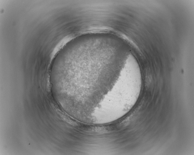 X0000070371362200607072118