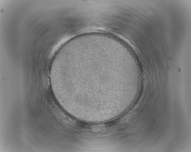 X0000070371363200607072118