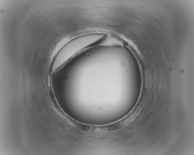 X0000070371365200607072118