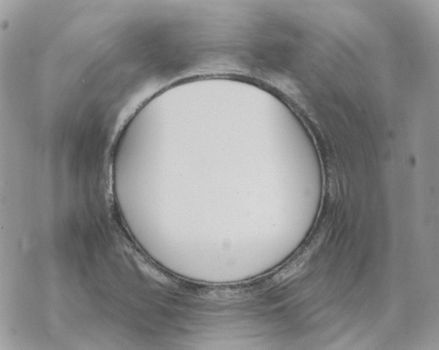 X0000070371366200607072118