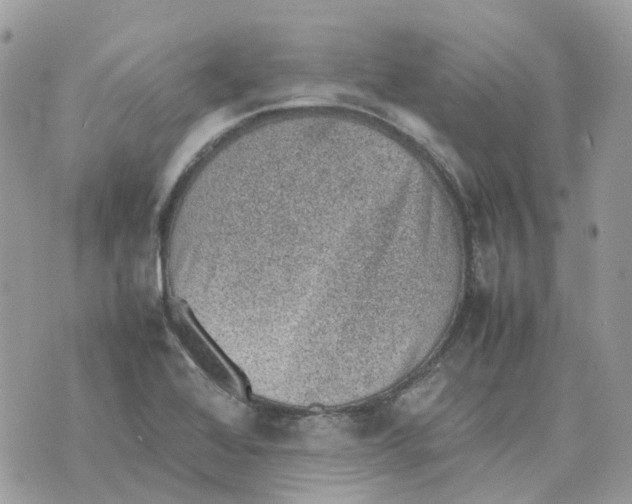 X0000070371368200607072118