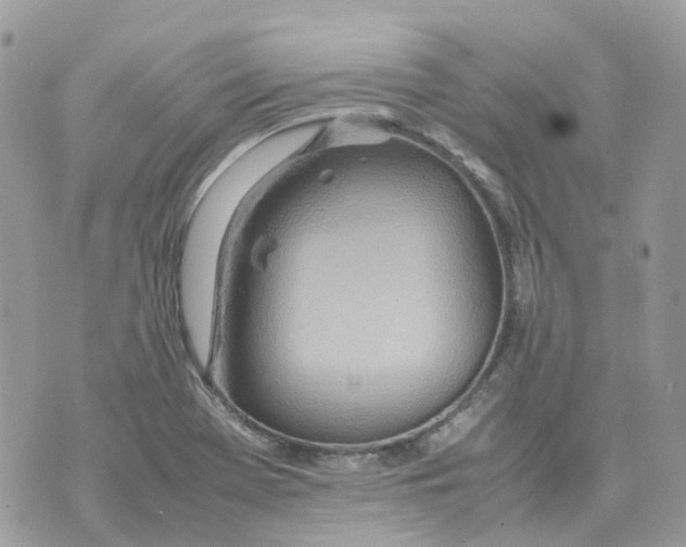 X0000070371369200607072118