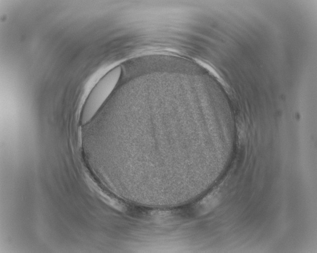 X0000070371371200607072118