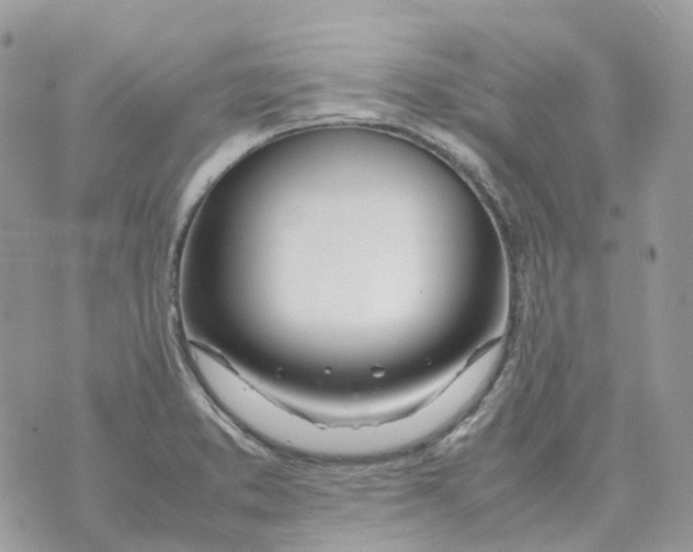 X0000070371373200607072118