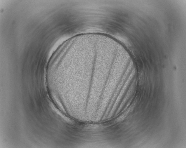 X0000070371374200607072118