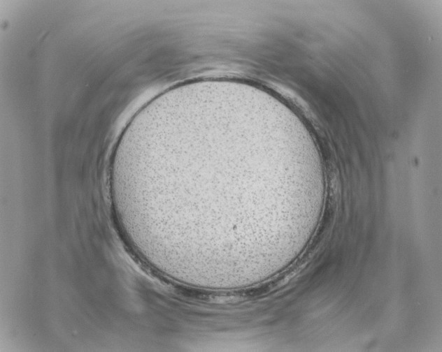 X0000070371375200607072118