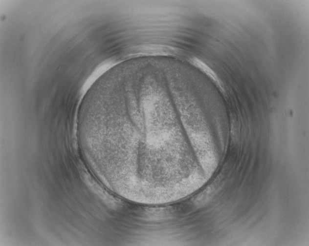 X0000070371378200607072117