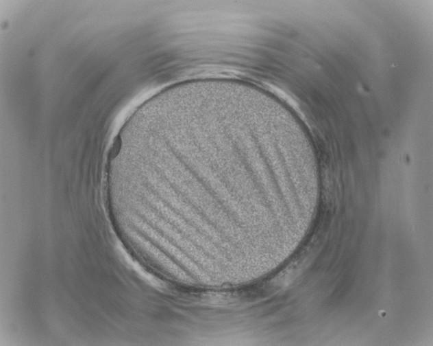 X0000070371379200607072117