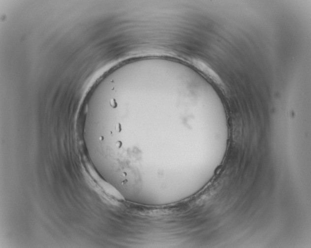 X0000070371380200607072117