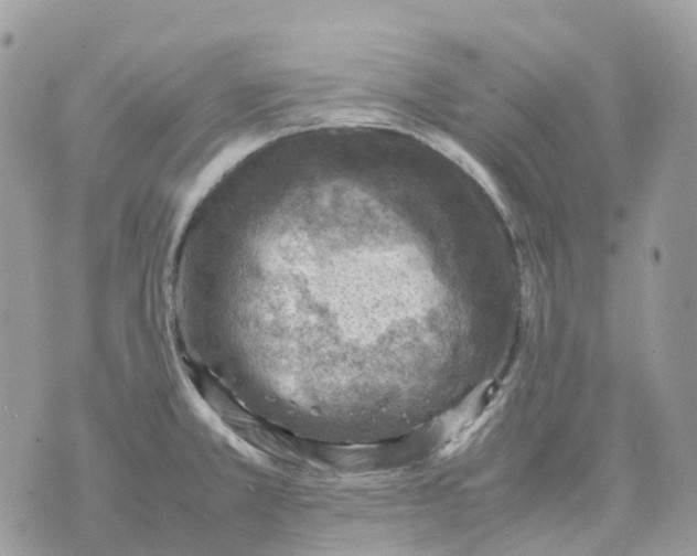 X0000070371381200607072117