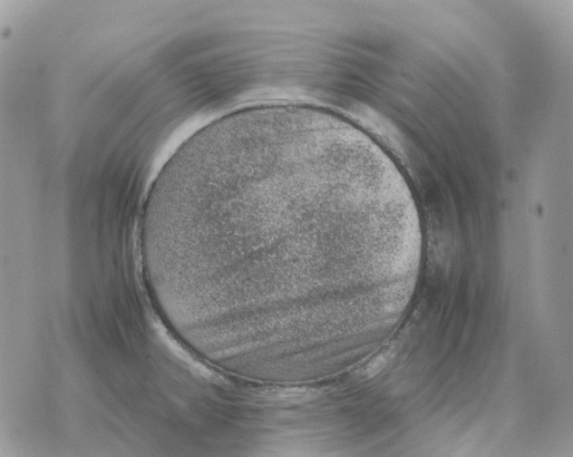 X0000070371382200607072117