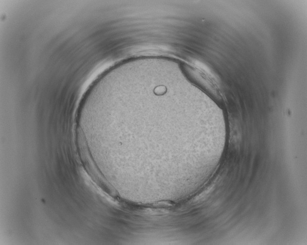 X0000070371384200607072117