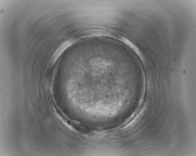 X0000070371385200607072117