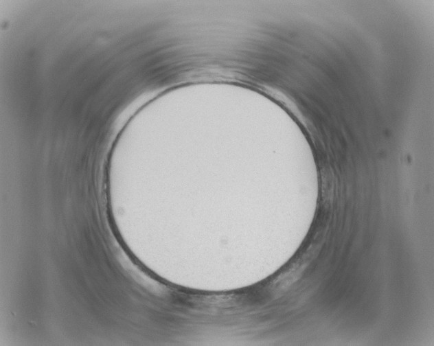 X0000070371387200607072117