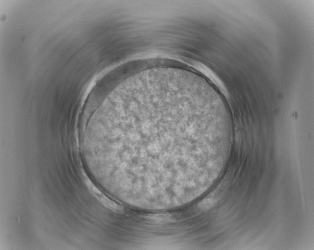 X0000070371388200607072117