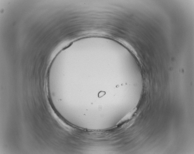 X0000070371391200607072117