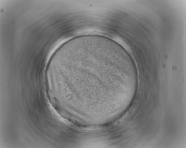 X0000070371392200607072117