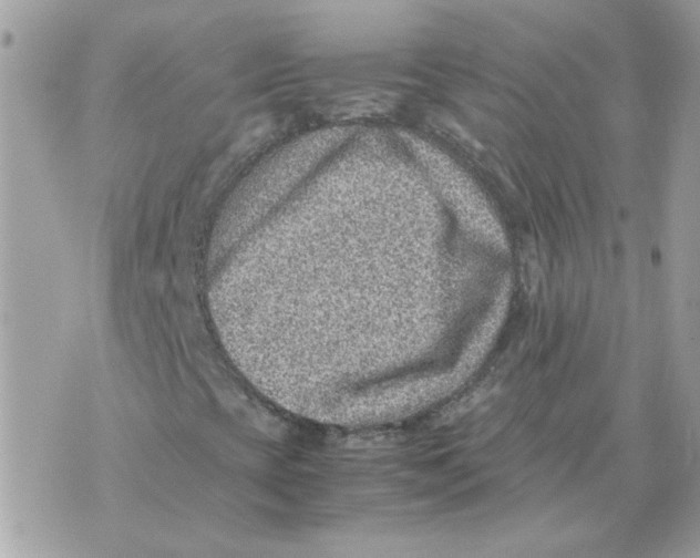 X0000070371393200607072116