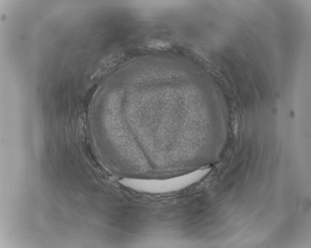 X0000070371397200607072117