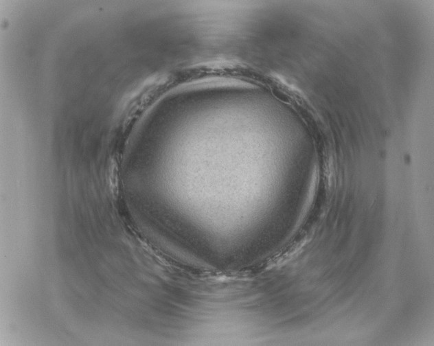 X0000070371398200607072117