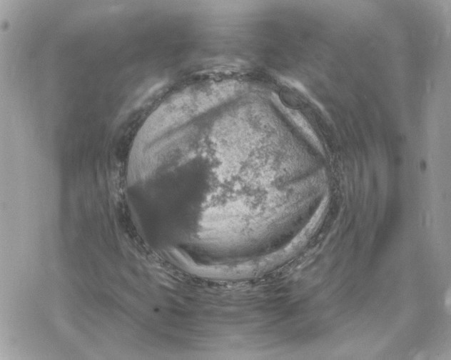 X0000070371399200607072117