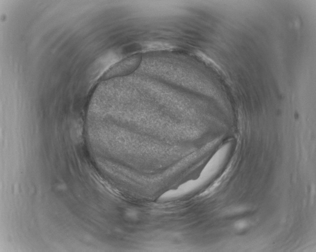 X0000070371401200607072117