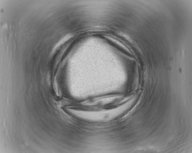 X0000070371402200607072117