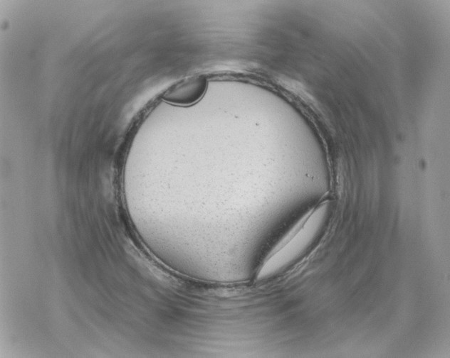 X0000070371404200607072117