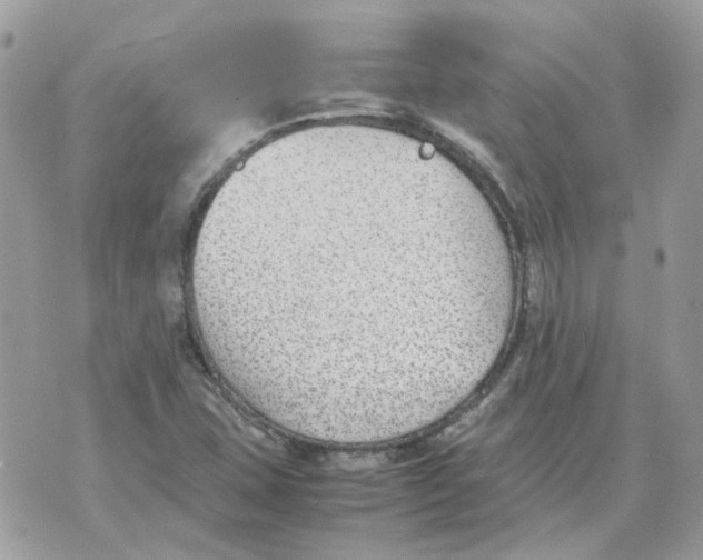 X0000070371407200607072117